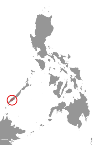 <span class="mw-page-title-main">Palawan montane squirrel</span> Species of rodent