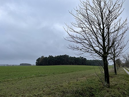 Rangsdorf Groß Machnow Heideberg (2)