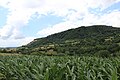 Ravnje - opstina Valjevo - zapadna Srbija - panorama 6.jpg