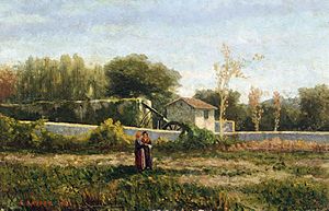 Rural Landscape