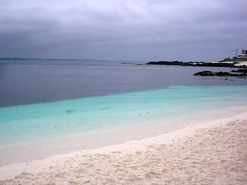 File:Red algal nodule beach.JPG