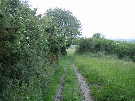 A byway on Stockton Down Restricted byway, Stockton Down near Sherrington - geograph.org.uk - 473572.jpg