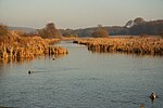 Thumbnail for File:River Poulter - geograph.org.uk - 3260490.jpg