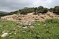 Ruin of Kefar Hananiah - Kafr 'Inan.jpg