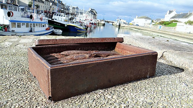 Rusty fish box