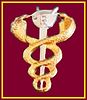 SANDF SAMHS Pharmacist chest insignia.jpg