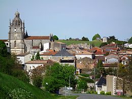 Saint-Fort-sur-Gironde - Vue