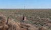 Santa Fe Trail -- Cimarron National Grassland Segment 1 Santa Fe Trail DAR marker KS-CO line 3.JPG