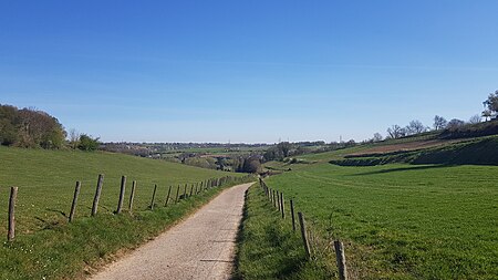 Schin op Geul Engwegengrub (4)