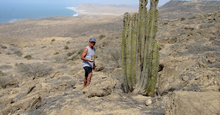 Type locality of Scutalus phaeocheilus altoensis Piura Region, El Alto District. Scutalus phaeocheilus altoensis locality.png