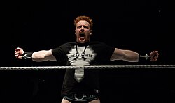 Sheamus won the 2012 Royal Rumble match. Sheamus 2.jpg