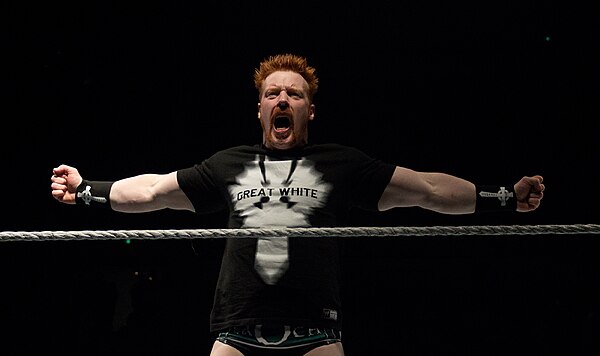 Sheamus won the 2012 Royal Rumble match.