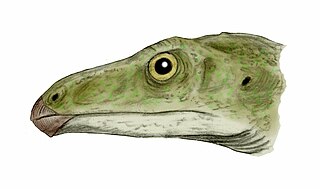 <i>Shuvosaurus</i> Genus of beaked reptile