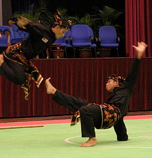 Silat Malay martial art