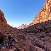 Sinai Wadi at Mount St Katherine, Egypt.jpg