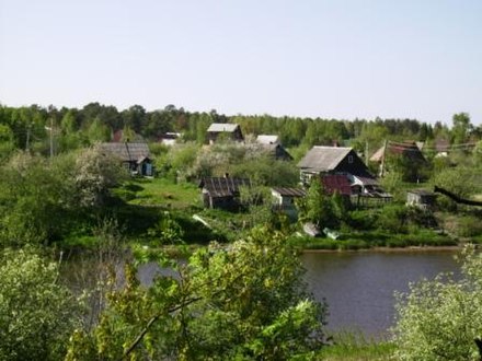 Allotments at Sista-Palkino, Lomonosovsky District, Leningrad Oblast, by the Sista river