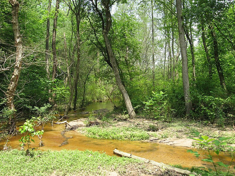 File:Snow Creek Alexander Berger Preserve.jpg