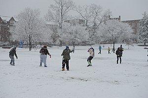 snow day fun