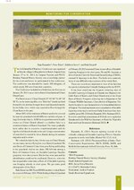 Thumbnail for File:Sociable Lapwing Vanellus gregarius sightings records in Gujarat.pdf
