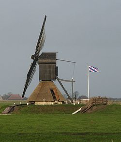 Spinnekop Nijxizum