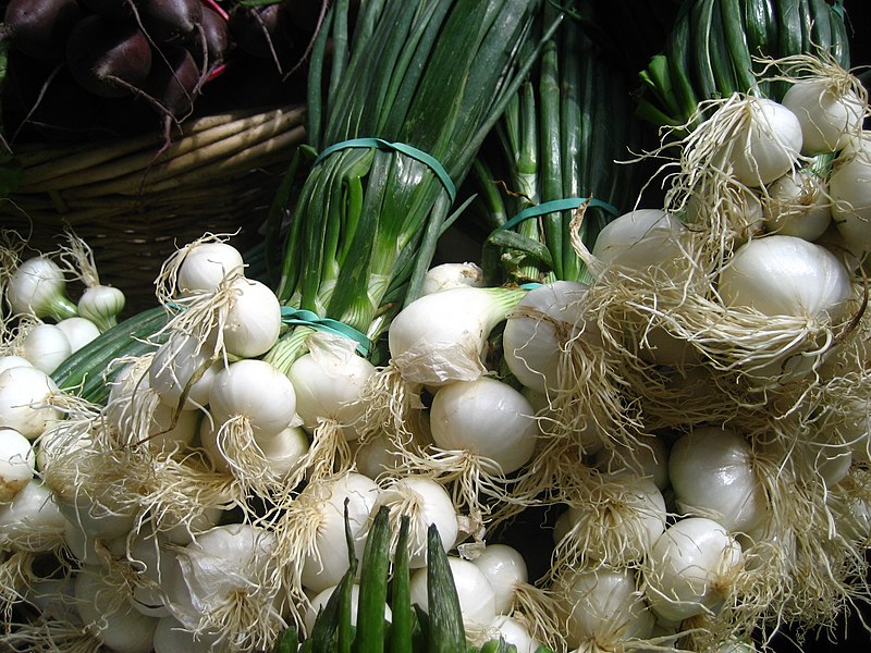 File:Spring onions (4701371448).jpg