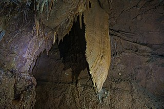 <span class="mw-page-title-main">Grotta Regina del Carso</span>