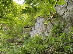 Steinbruch bei Dahlhausen – potentielles Quartier für den Uhu