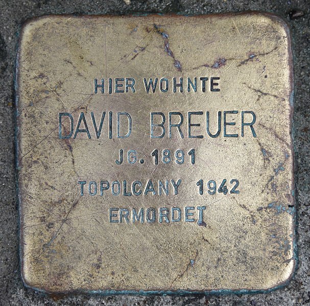 File:Stolperstein für David Breuer.JPG