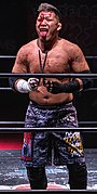 Big Japan Pro Wrestling