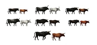 <span class="mw-page-title-main">Tauros Programme</span> Dutch cattle-breeding project