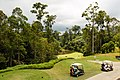 * Nomination Tawau, Sabah: Hot Spring Golf Course --Cccefalon 03:52, 3 June 2016 (UTC) * Promotion You have made an excellent photo, except the crop at the right side (and the bottom right corner) --Michielverbeek 05:23, 3 June 2016 (UTC) Can be cropped tighter, but will limit the space around the car. I will try occassionally to apply a combined crop/retouch --Cccefalon 06:04, 3 June 2016 (UTC)