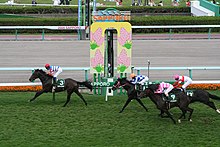 The 44th Sapporo 2sai Stakes 20090905.JPG