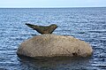 The Corrie seal - geograph.org.uk - 811803.jpg