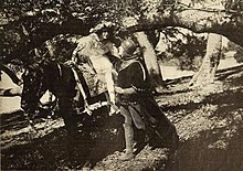 Pjesnik s vrhova (1915) - Rich.jpg