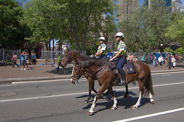 Members of the New South Wales Mounted Police on patrol in Sydney.