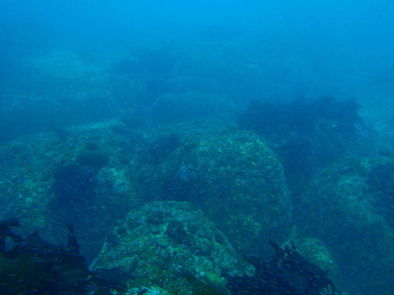 File:The deep reef at the south west of Geldkis blinder PC013199.JPG