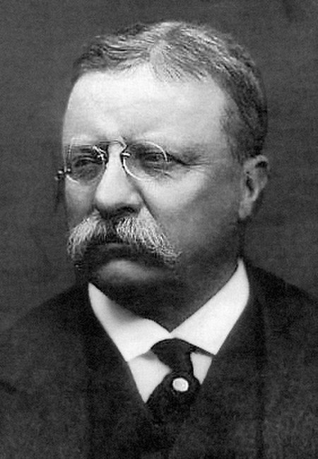 Fail:Theodore_Roosevelt.jpg
