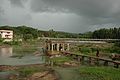 Thiruparappu falls.