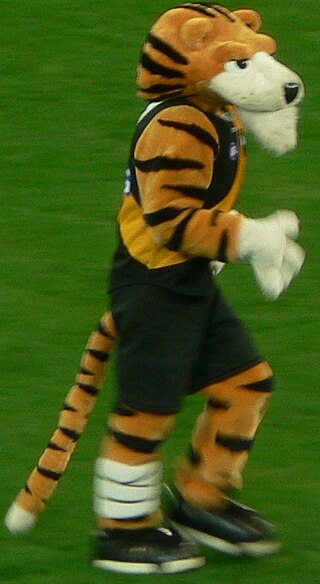 <span class="mw-page-title-main">2007 Richmond Football Club season</span>