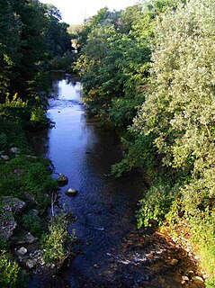 Rovasenda (stream) river in Italy