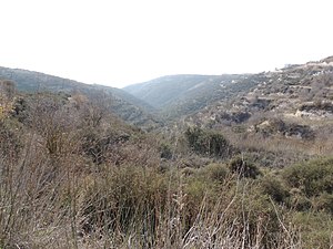 Тсада, Кипр - Panoramio (37) .jpg