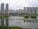 Tin Shui Wai, Kina