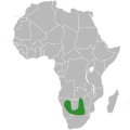 Range of Tylosema esculentum