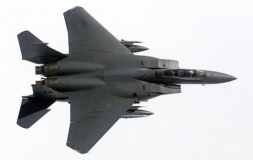 USAF F-15D Top.jpg