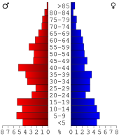 Bevolkingspiramide Clark County