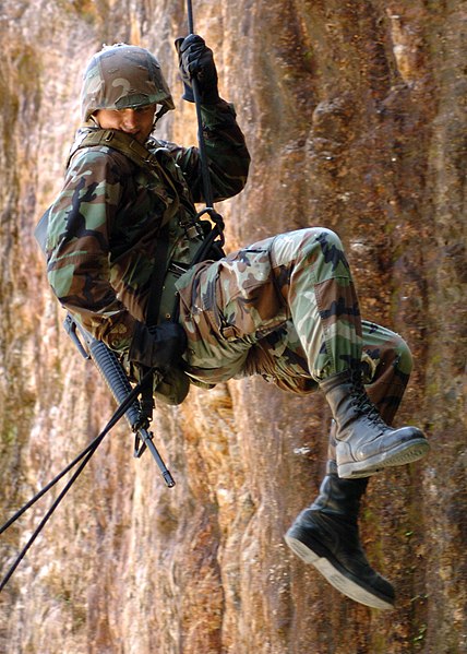 File:US Navy 050815-N-1261P-251 U.S. Navy Construction Electrician 3rd Class Brian A. Neilsen repels down a 65 ft. cliff during jungle warfare training located in the Northern Training Area on the island of Okinawa.jpg