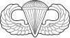 United States Air Force Parachutist Badge.svg