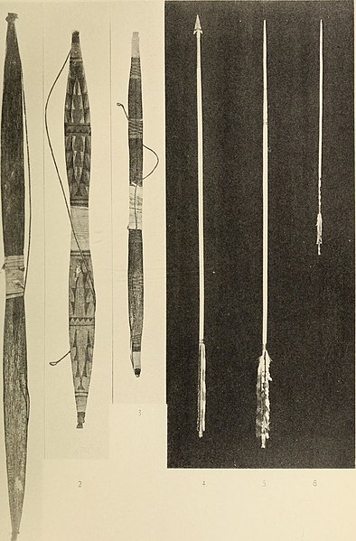 File:University of California publications in American archaeology and ethnology (1903) (14776482915).jpg