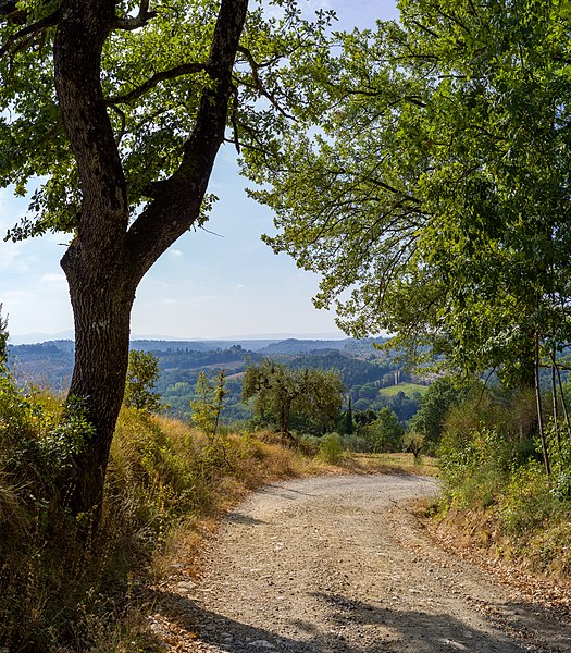 File:Via Francigena in Toscana da San Gimignano a Colle di Val d'Elsa strada.jpg