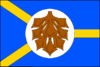 Vlajka obce Hvozdec